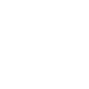 Intra Oral Scanner