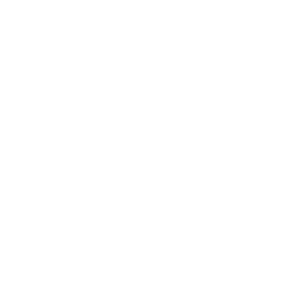 Ortho Simulation